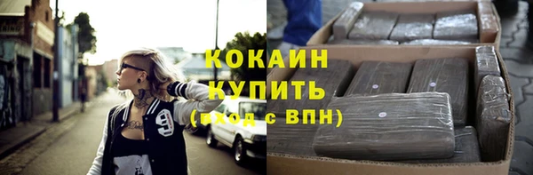 дживик Белокуриха