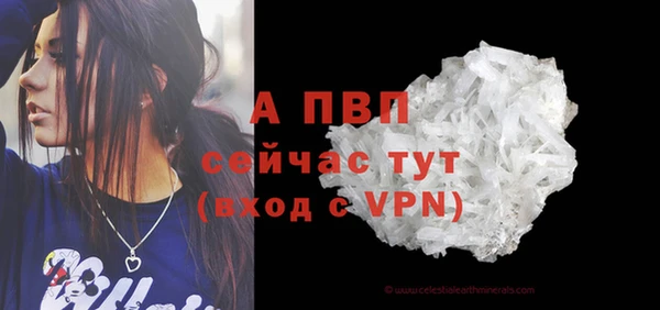 Альфа ПВП Беломорск
