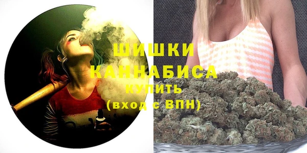 дживик Белокуриха