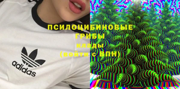 дживик Белокуриха