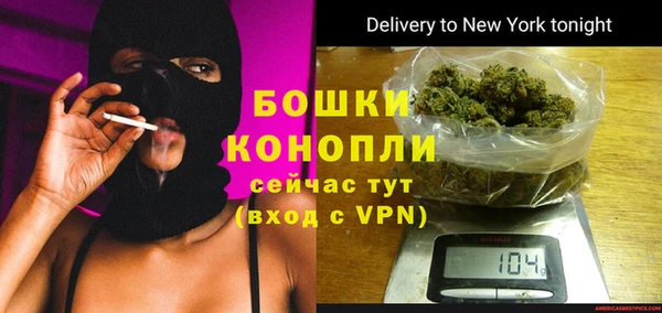дживик Белокуриха