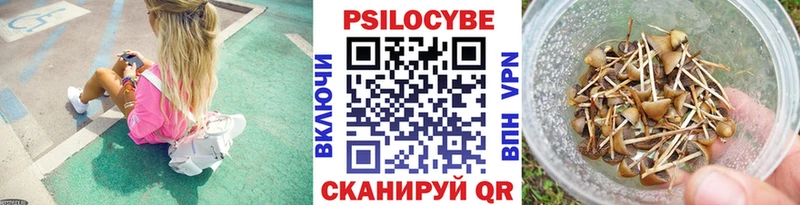 Галлюциногенные грибы мухоморы  Купить закладки  Луза 