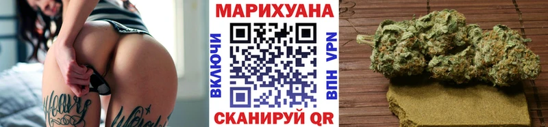 Купить где  Луза  Канабис сатива 